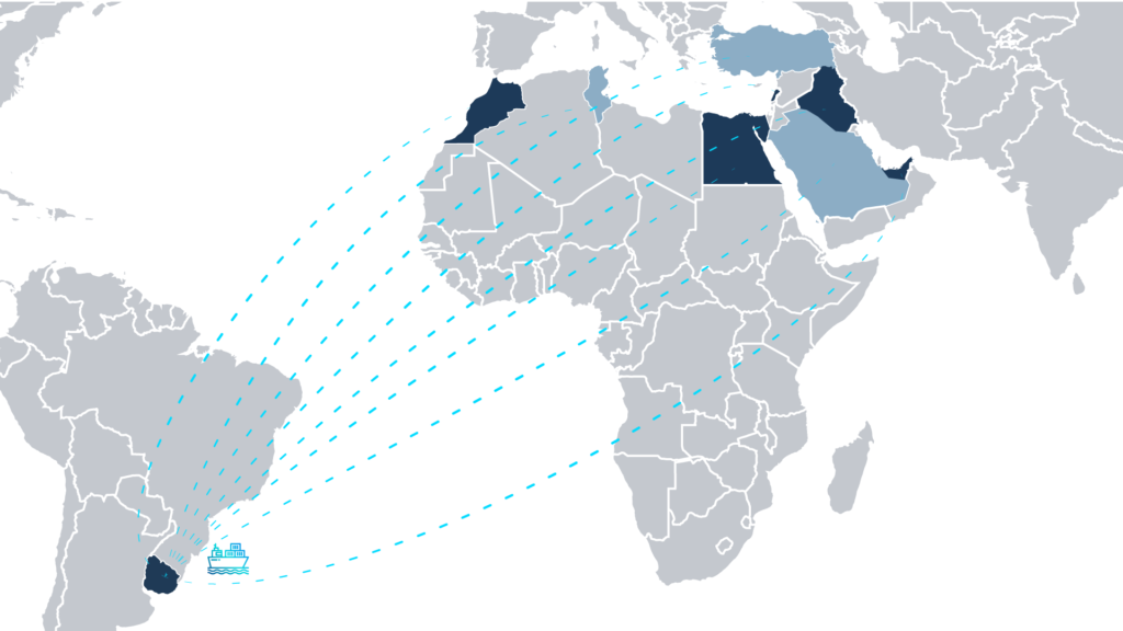 World-Map olkany